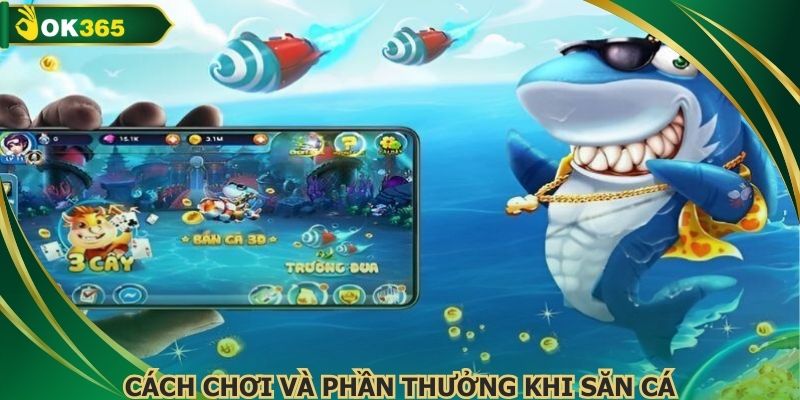 Cách chơi và phần thưởng khi săn cá