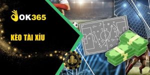 Kèo Tài Xỉu - Cách Đọc Phân Tích Chuẩn Xác Cho Bạn