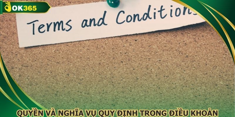 Quyền và nghĩa vụ quy định trong điều khoản