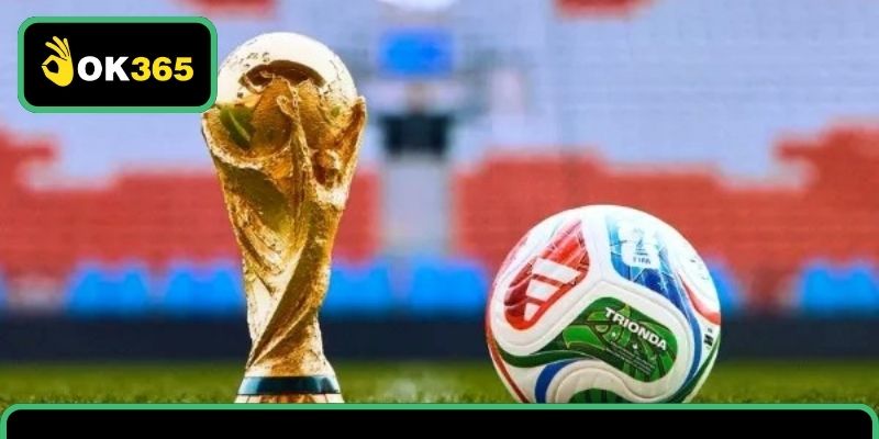 Sân Chơi Thể thao Đa Dạng