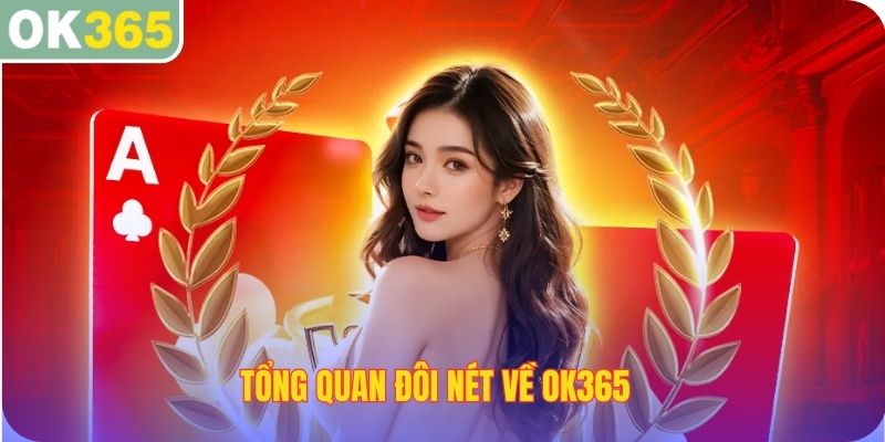 Tổng quan đôi nét về OK365